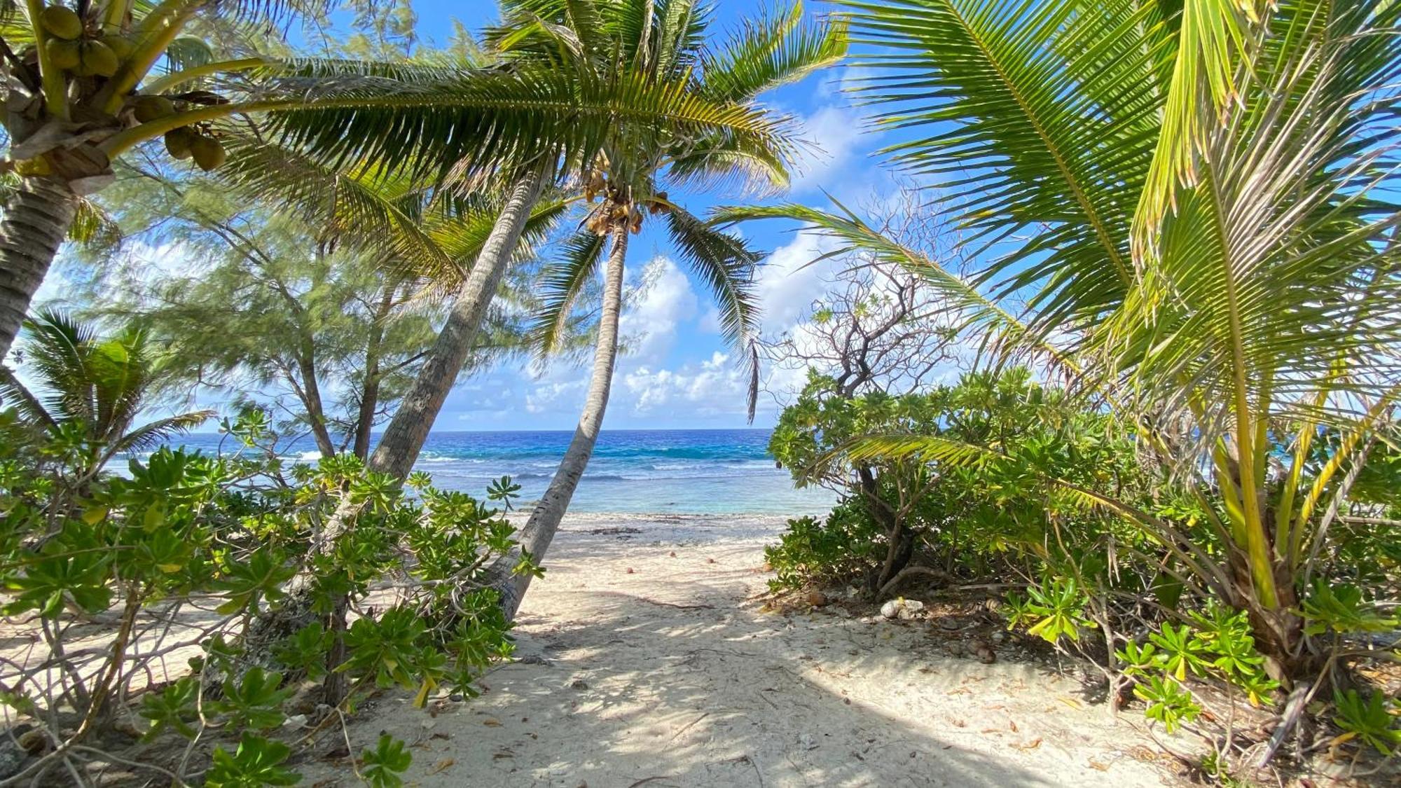Moorea Chill And Beach Lodge Teavaro Экстерьер фото